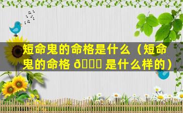 短命鬼的命格是什么（短命鬼的命格 🐈 是什么样的）